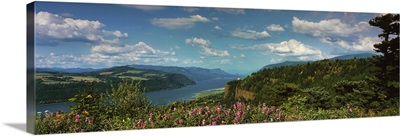 Columbia River Gorge V