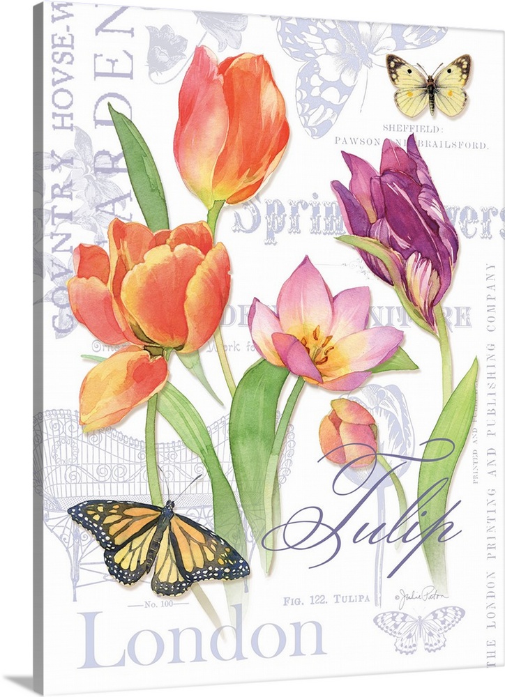 Watercolor painted purple and pink tulips with two butterflies on top of a white background with light purple illustration...