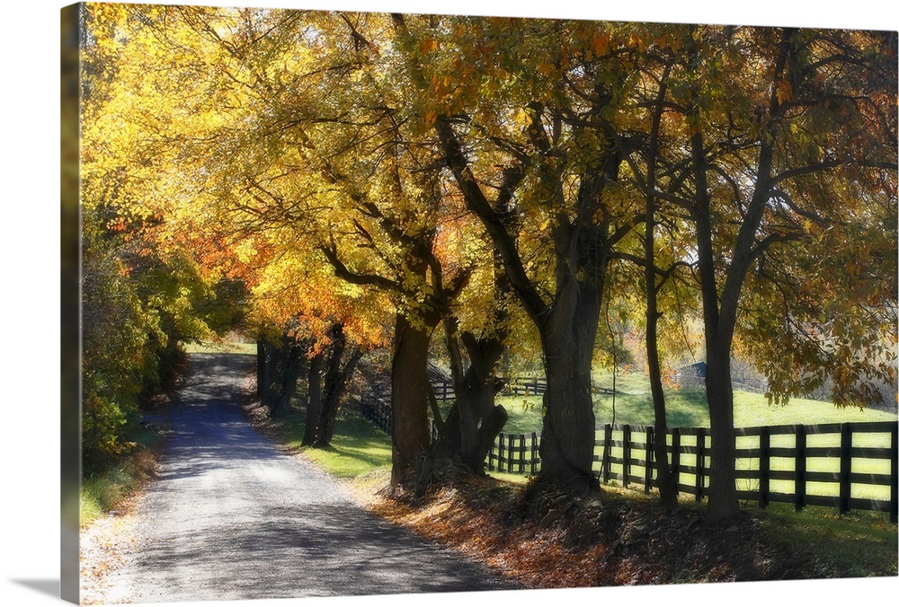 A gravel road in the countryside lined by colorful trees during the fall.