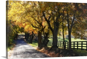 Country Road I image thumbnail