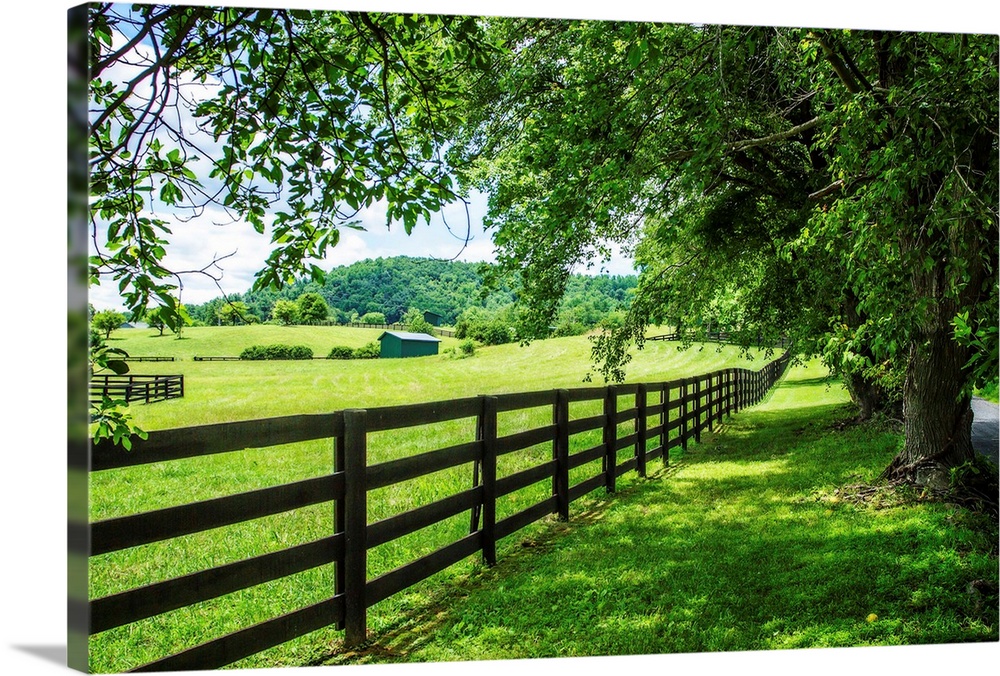 Lush countryside photograph of a wooden fence lining a farm in Cumberland Country, NC.
