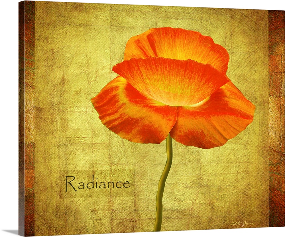 Docor perfect for the home of a single orange flower that has the word "Radiance" to the left of it.