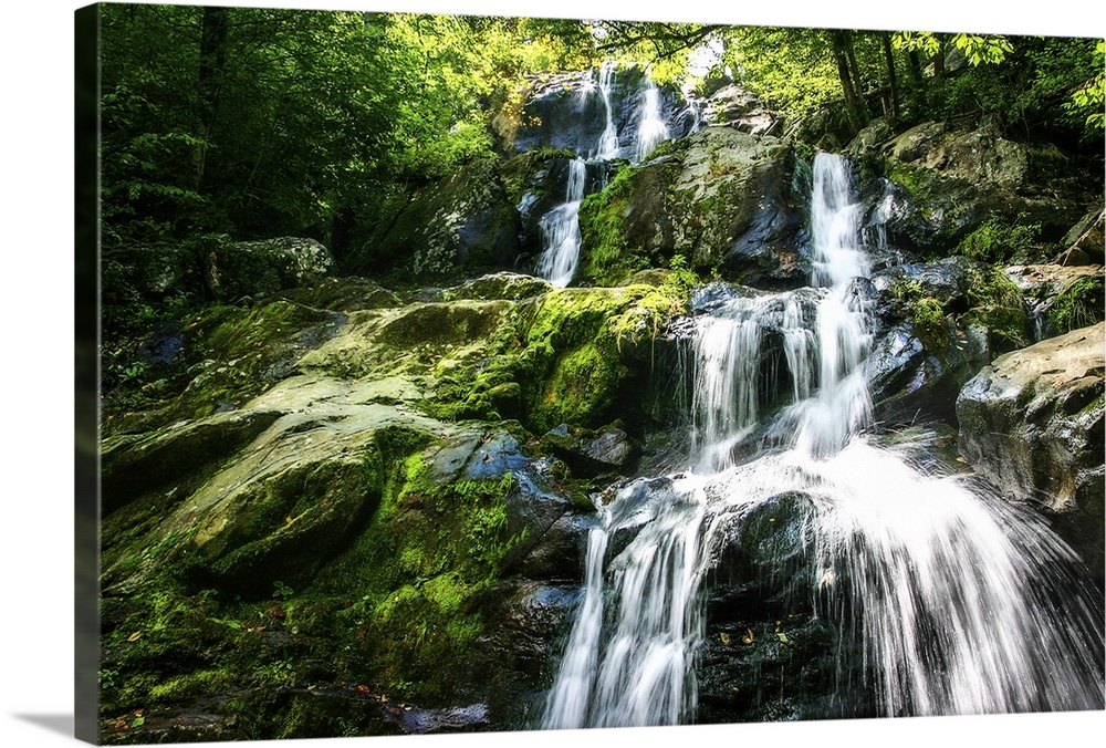 Photograph of the Dark Hollow Falls in Virginia, covered in bright green moss.