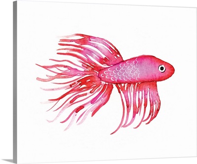 Deep Sea Pink Fish