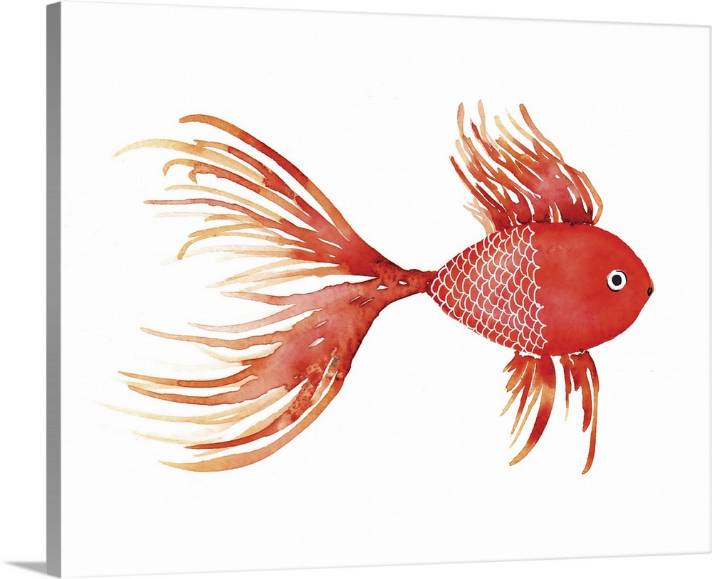 https://static.greatbigcanvas.com/images/singlecanvas_thick_none/gango-editions/deep-sea-red-fish,2507159.jpg