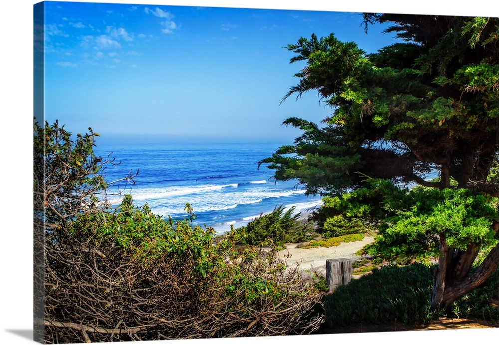 Landscape photograph of the Pacific Ocean and shore from behind green coastal vegetation.