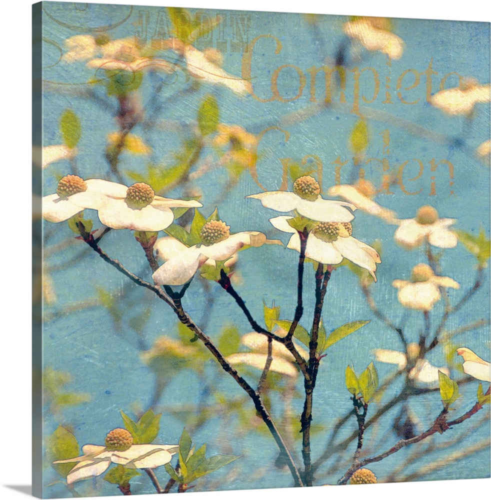 This square decorative accent is a photograph of spring flower blossoms and tree branches collaged with paint textures, de...