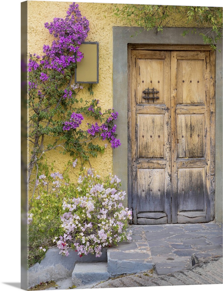 Doorway, San Miguel de Allende, Mexico