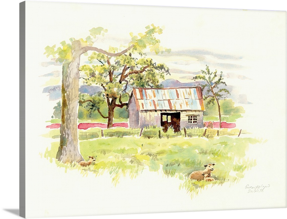 Watercolor painting of a rusted barn with sheep in the pasture in the foreground.
