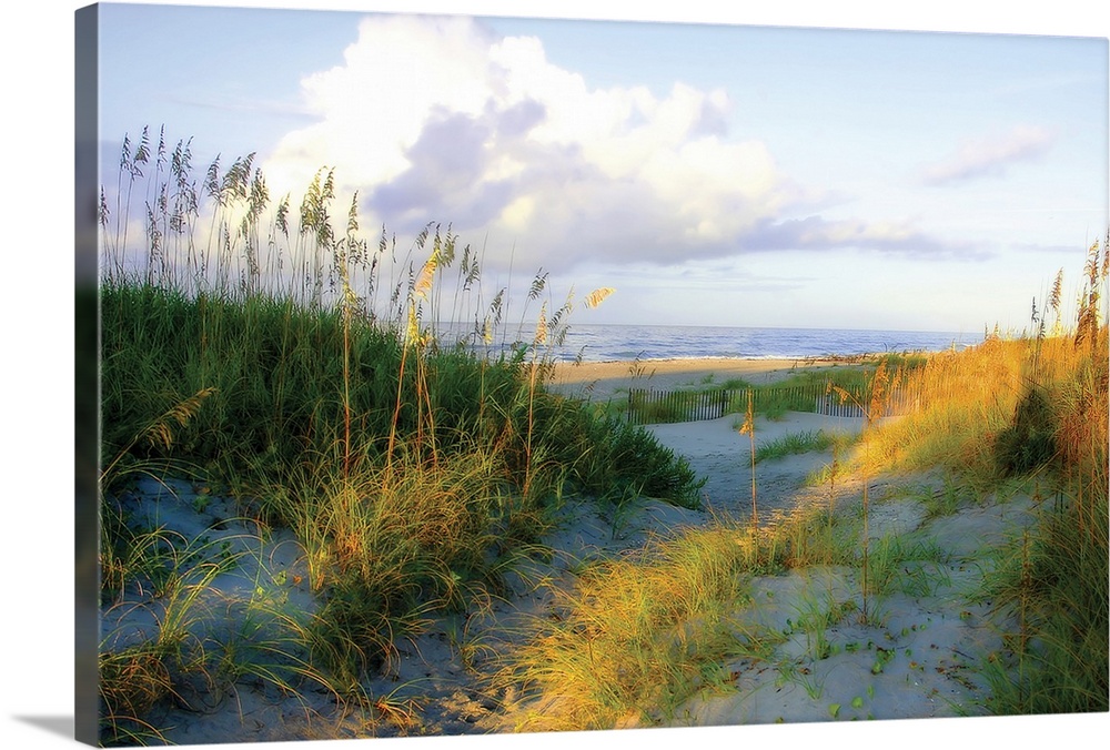 This big wall art picture shows a pathway through the grass covered dunes down to the sandy beach as the sun is starting t...