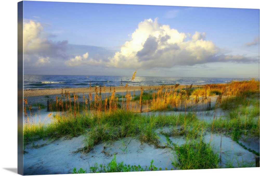 Horizontal, oversized photograph of grassy dunes in front of the shoreline, beneath a blue sky with large fluffy clouds.