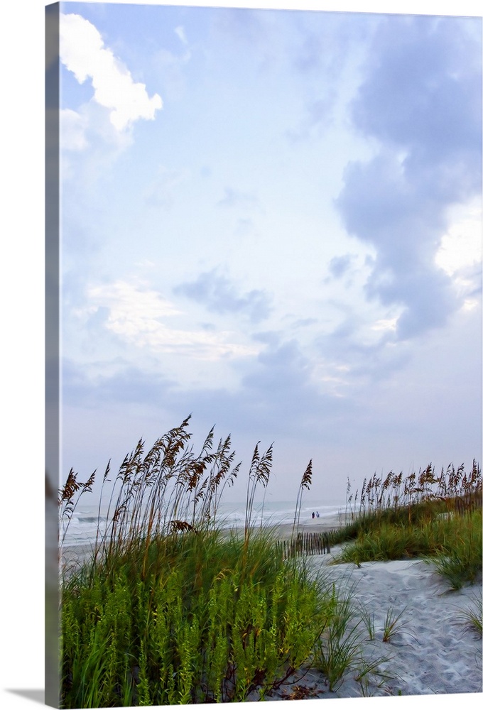 Vertical photo print of sea grass on dunes with waves crashing onto a beach in the distance.