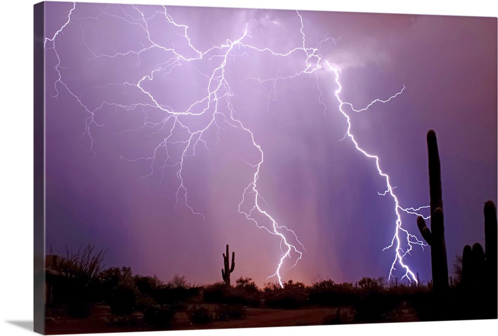 Photograph of lightning bolts in a purple sky with a desert silhouette in the foreground.