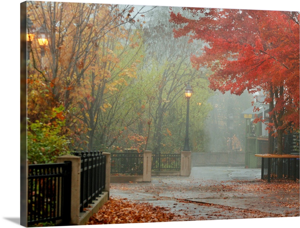 A photograph of a city walkway covered with autumn leaves on a misty day.