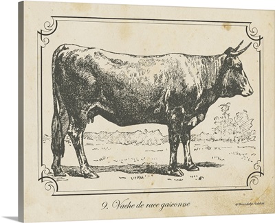 Farm Bull I