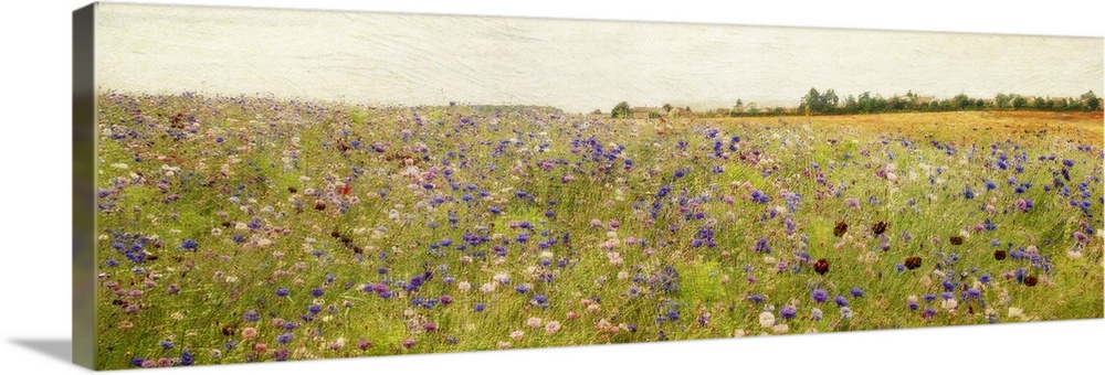 Giant, panoramic painting of a vast field of wildflowers and tall grasses, beneath a clear sky.