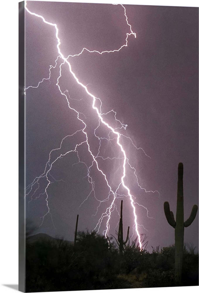 Photograph of lightning striking in a purple sky above a desert with cacti.