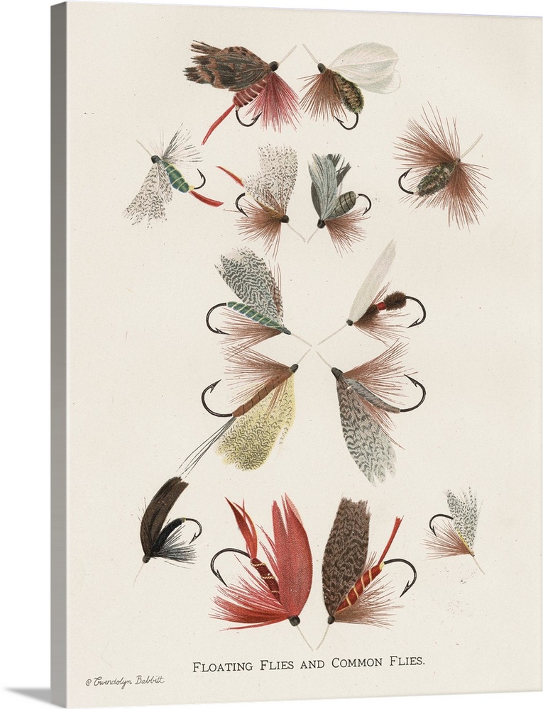 Vintage illustration of fly fishing flies on an off-white background with "Floating Flies and Common Flies" written on the...