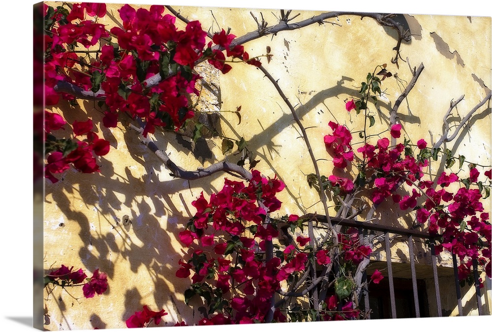 Photograph of balcony surrounded by flowers and branches.