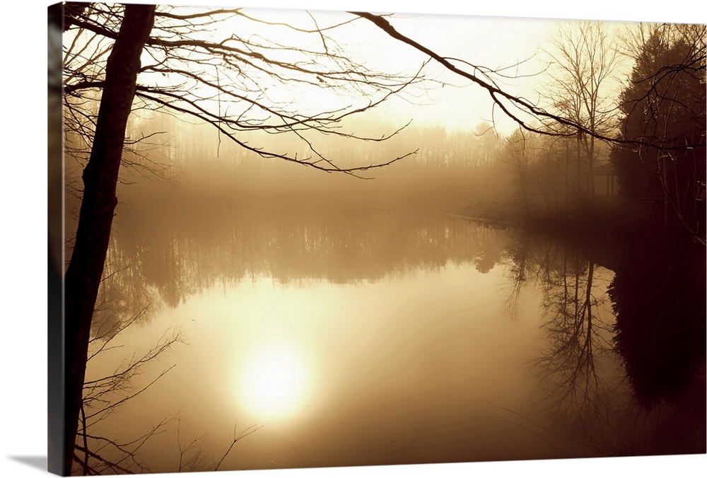 Large, landscape photograph of silhouetted trees surrounding a fog covered Shelly Lake, the reflection of the rising sun i...