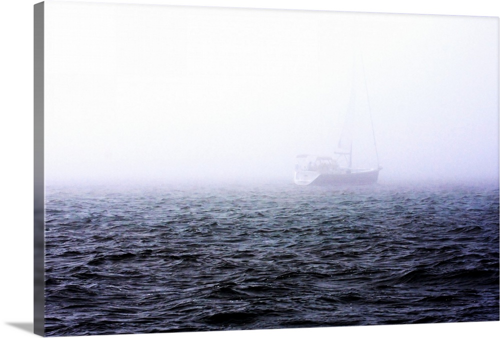 Fog on the Bay 1