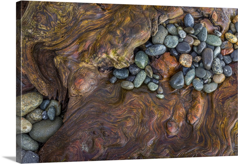 Detail of Driftwood and beach rocks - Washington, Fort Flagler State Park