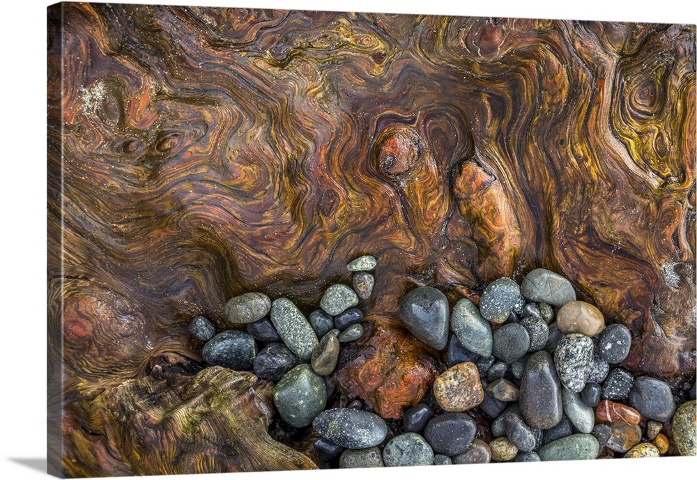 Detail of Driftwood and beach rocks - Washington, Fort Flagler State Park