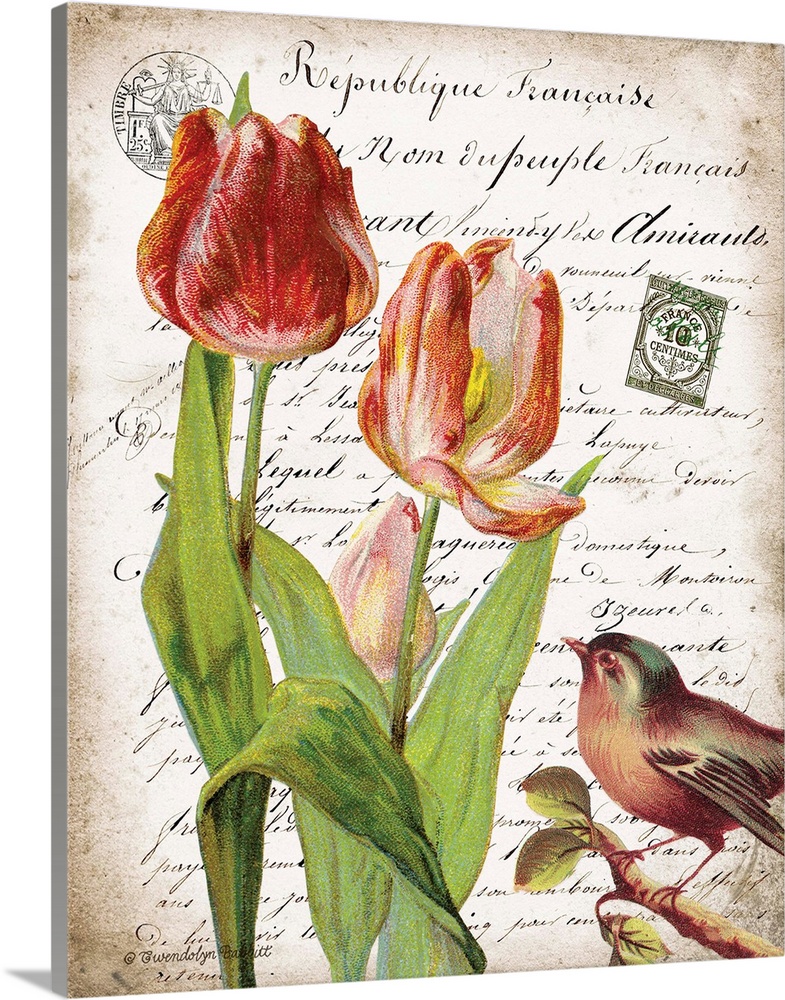 Vintage art with three tulips and a bird on top of an old letter written in French.