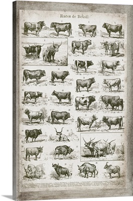 French Cow Chart