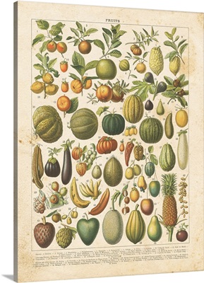 French Fruit Chart