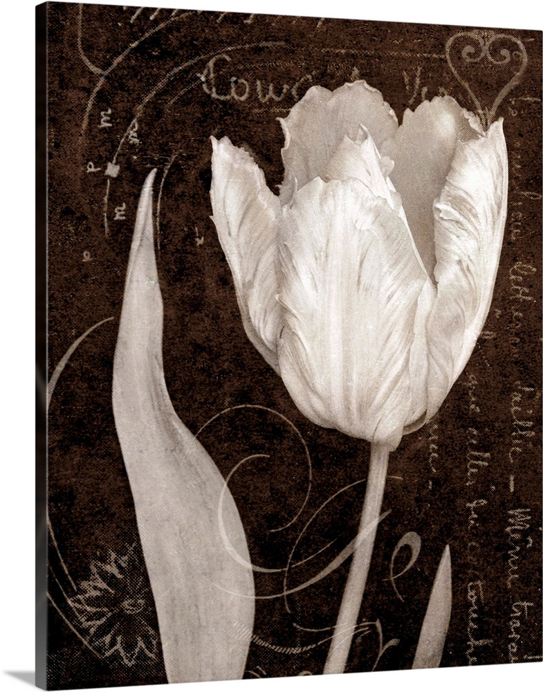Giant monochromatic floral art accents a single tulip flower sitting in front of a slightly textured background with a few...