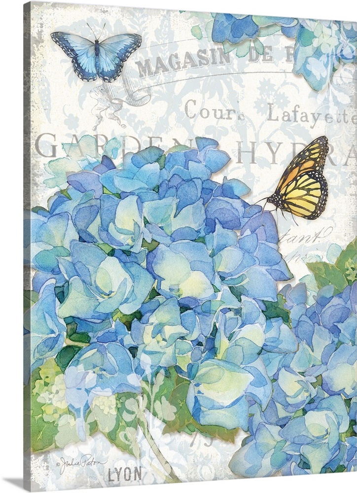 Bundles of blue hydrangeas with two butterflies on a decorative background with grey text.