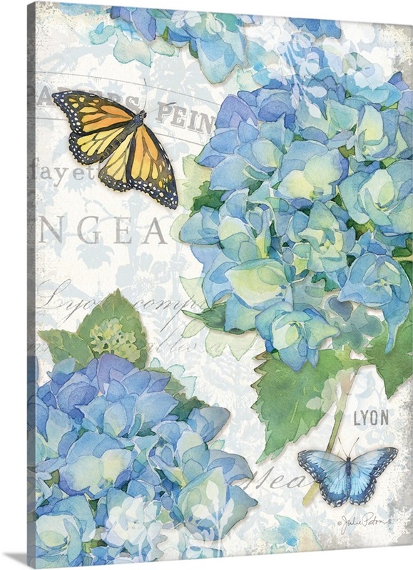 Garden Hydrangea II | Great Big Canvas