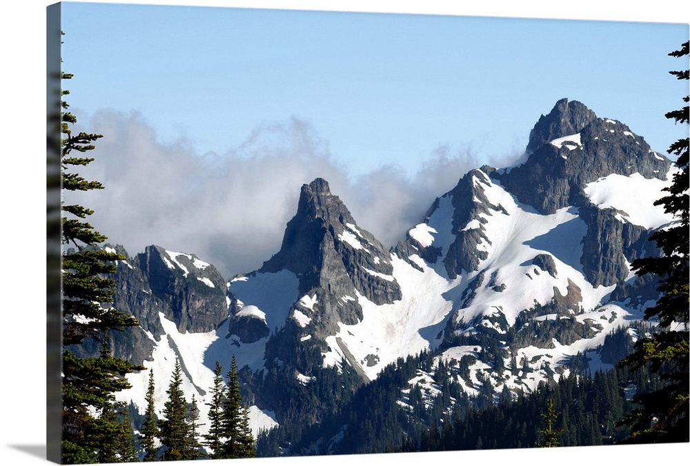 Landscape photograph of the snowy peaks on Goat Island Mountain framed with tall pine trees