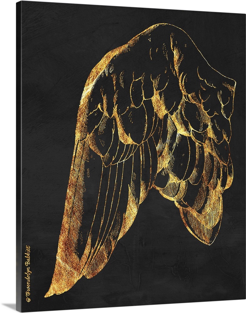 An illustration of a bird's wing in gold over a black background.