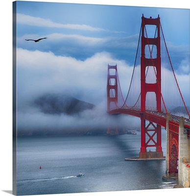 Golden Gate Bridge VIII