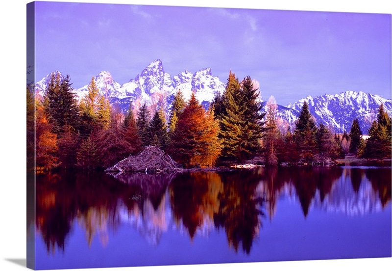 Grand Teton National Park XIV Wall Art, Canvas Prints, Framed Prints