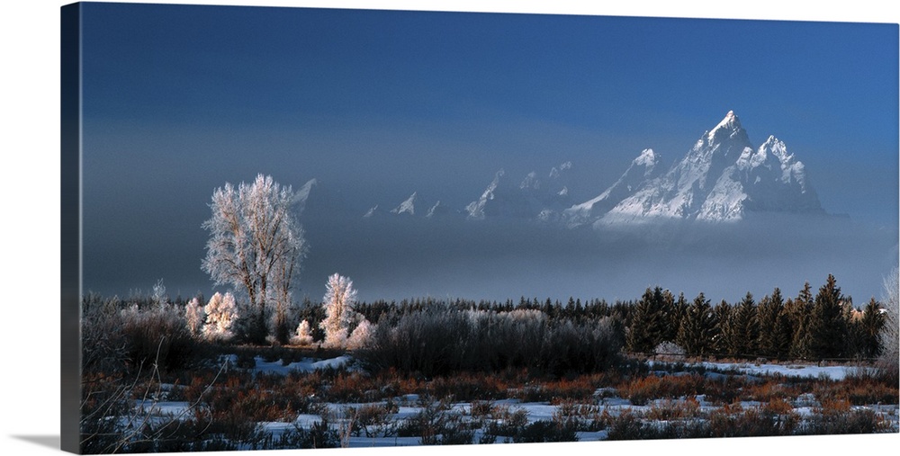 The peaks of the Grand Tetons visible in a cloud of mist.