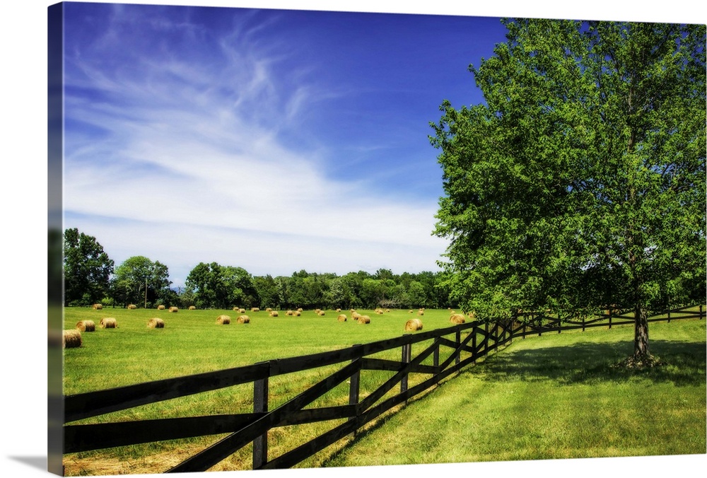 A fence along the edge of a farm on a sunny day with a bright blue sky.