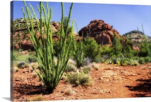 High Desert II image thumbnail