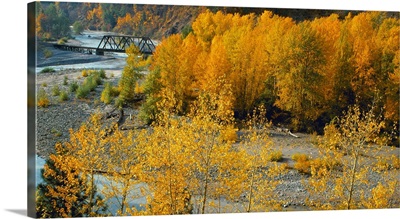 Hood River Railroad Bridge