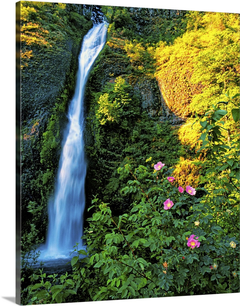 A small waterfall near bright flowers in a forest in Oregon.