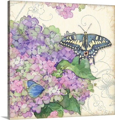 Hydrangea and Butterflies