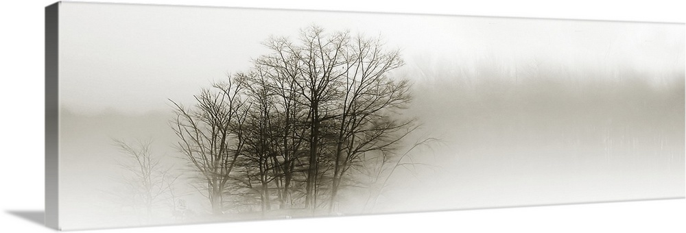 In the Mist II Wall Art, Canvas Prints, Framed Prints, Wall Peels ...
