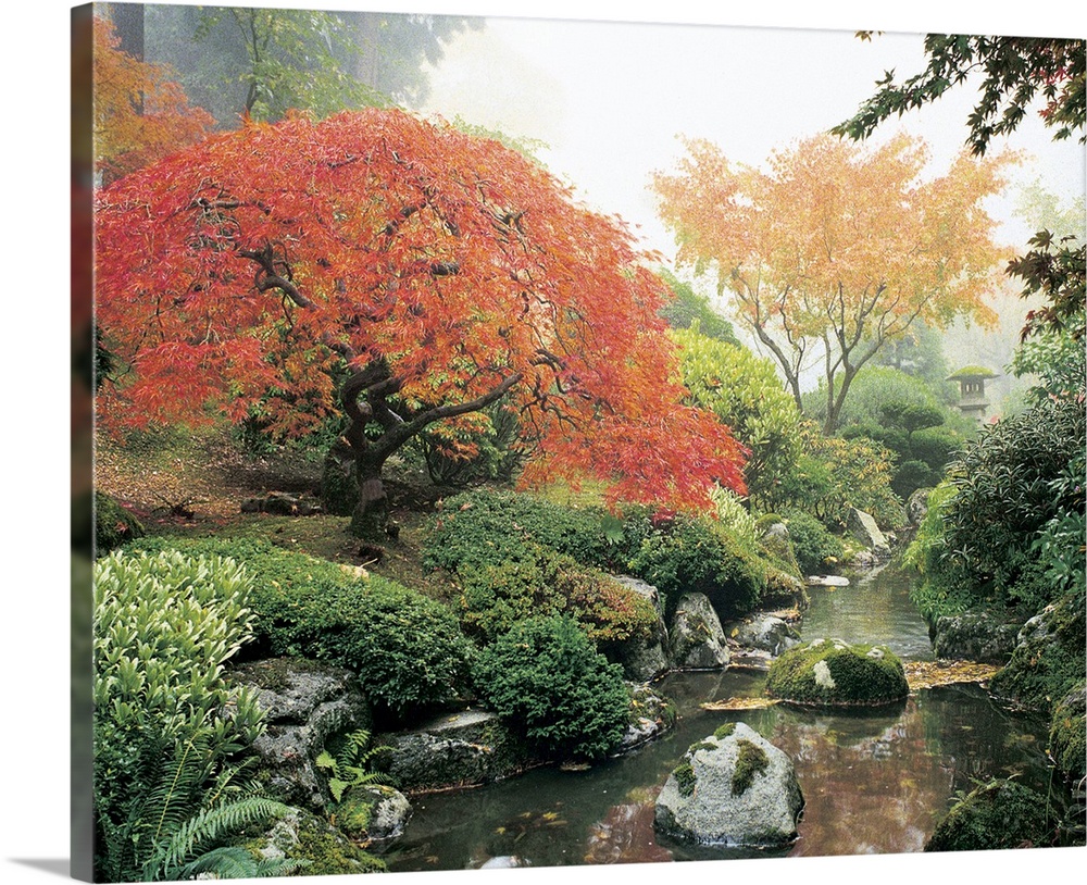 Oversized, landscape photograph of a rocky stream surrounded by greenery and fall colored trees and foliage in a Japanese ...