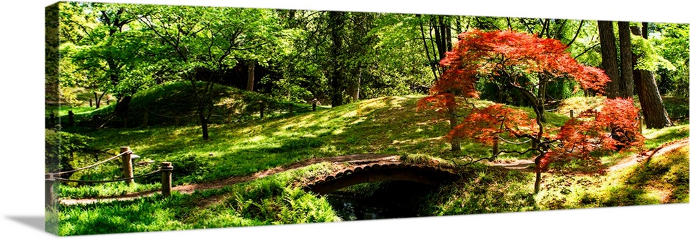 Panoramic photograph of a hilly Japanese garden with a red maple tree and a small foot bridge over a stream.
