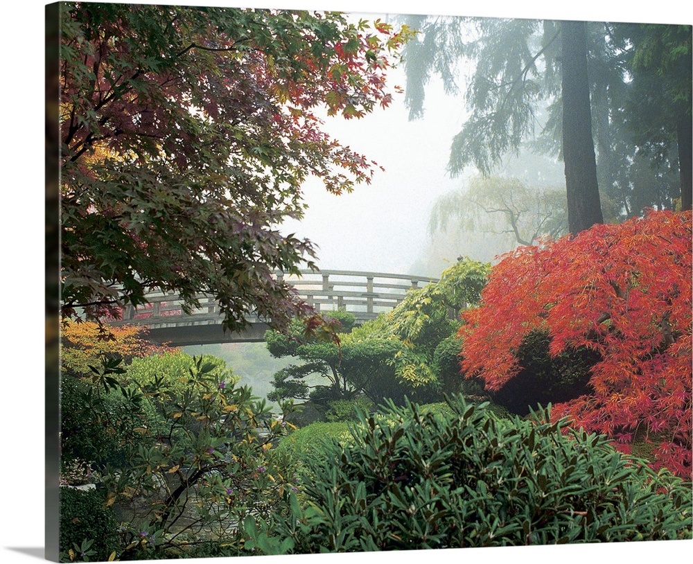 Japanese Garden II Wall Art, Canvas Prints, Framed Prints, Wall Peels