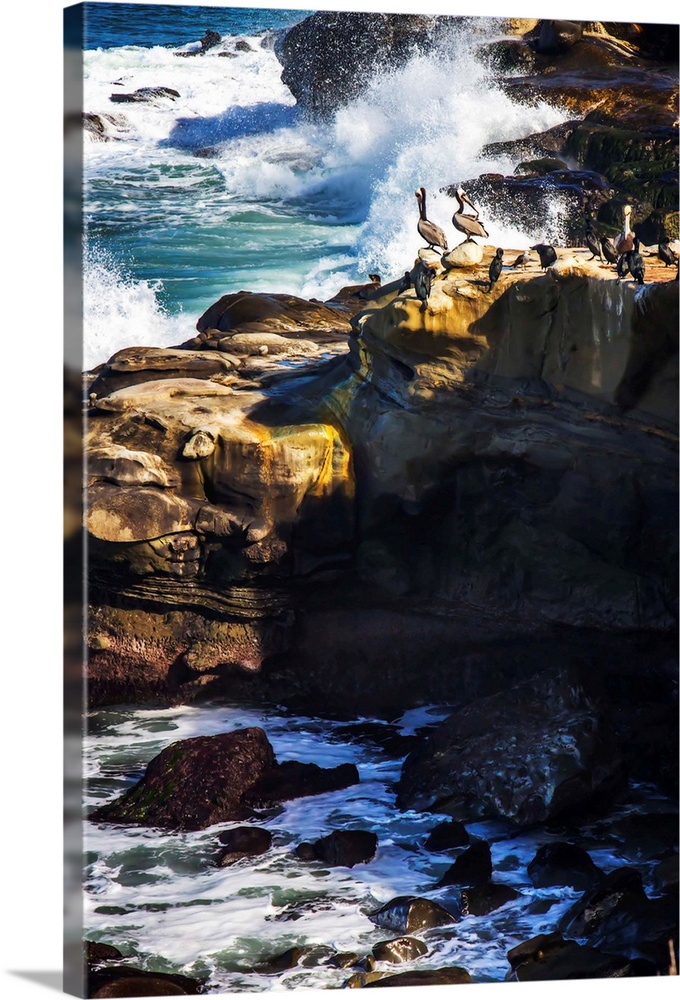 Landscape photograph of rocky cliffs with pelicans on top watching the waves crash.