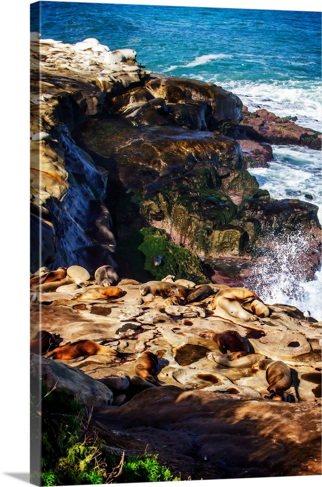 Landscape photograph of rocky cliffs at La Jolla with sea lions laying on top of them.