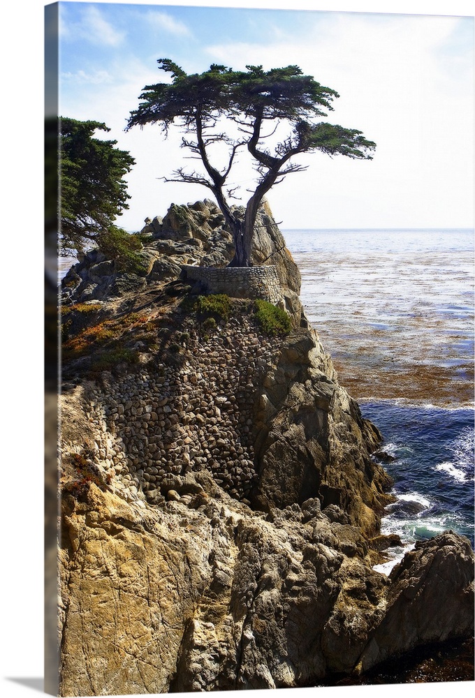 Portrait photograph on a large wall hanging, of a single cypress tree at the top of a rocky cliff that overlooks blue wate...